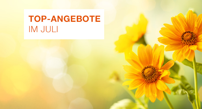 Top-Angebote-Juli-700x380-2